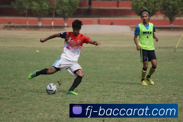 百家乐官网平台生态图